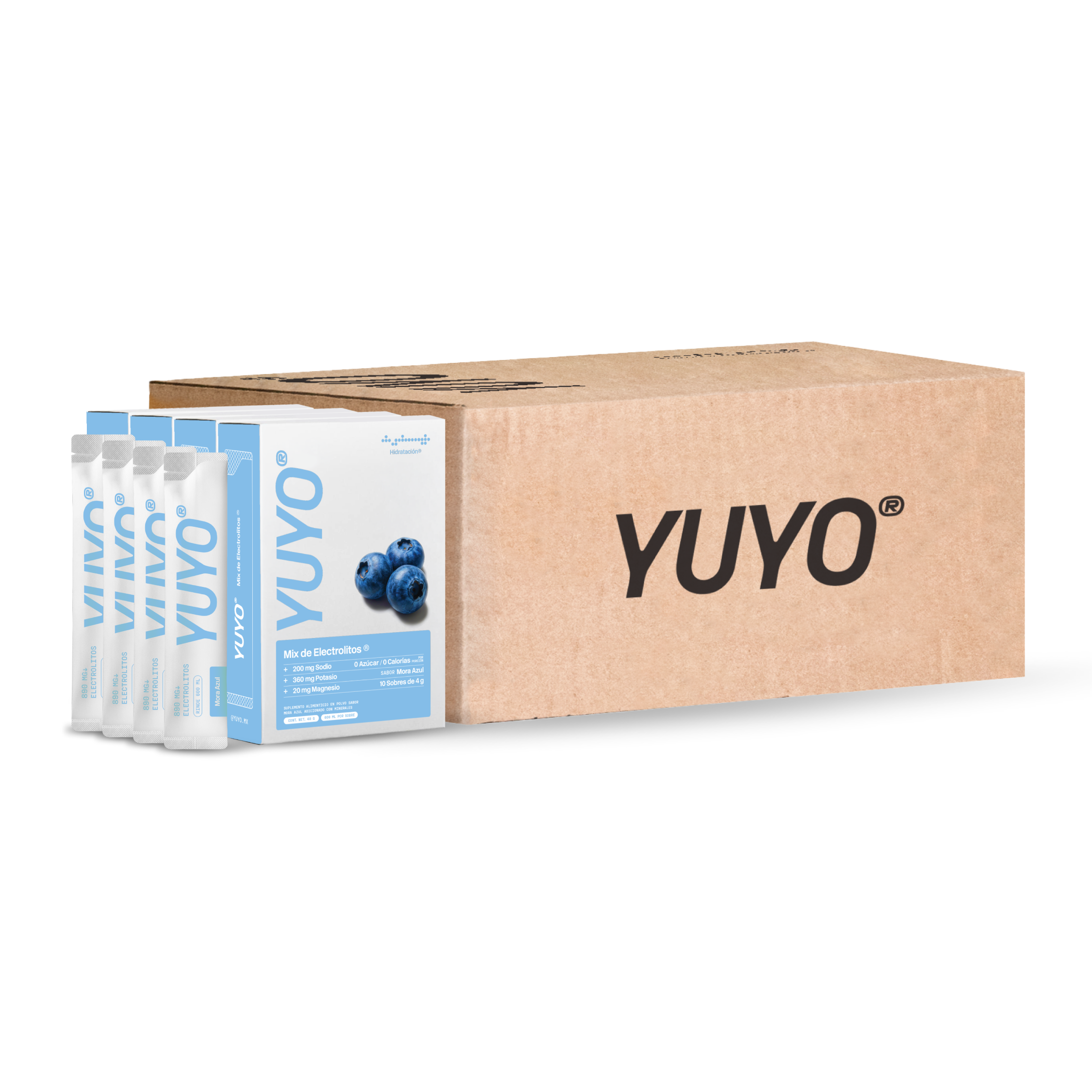 Blueberry Hydration Corrugated