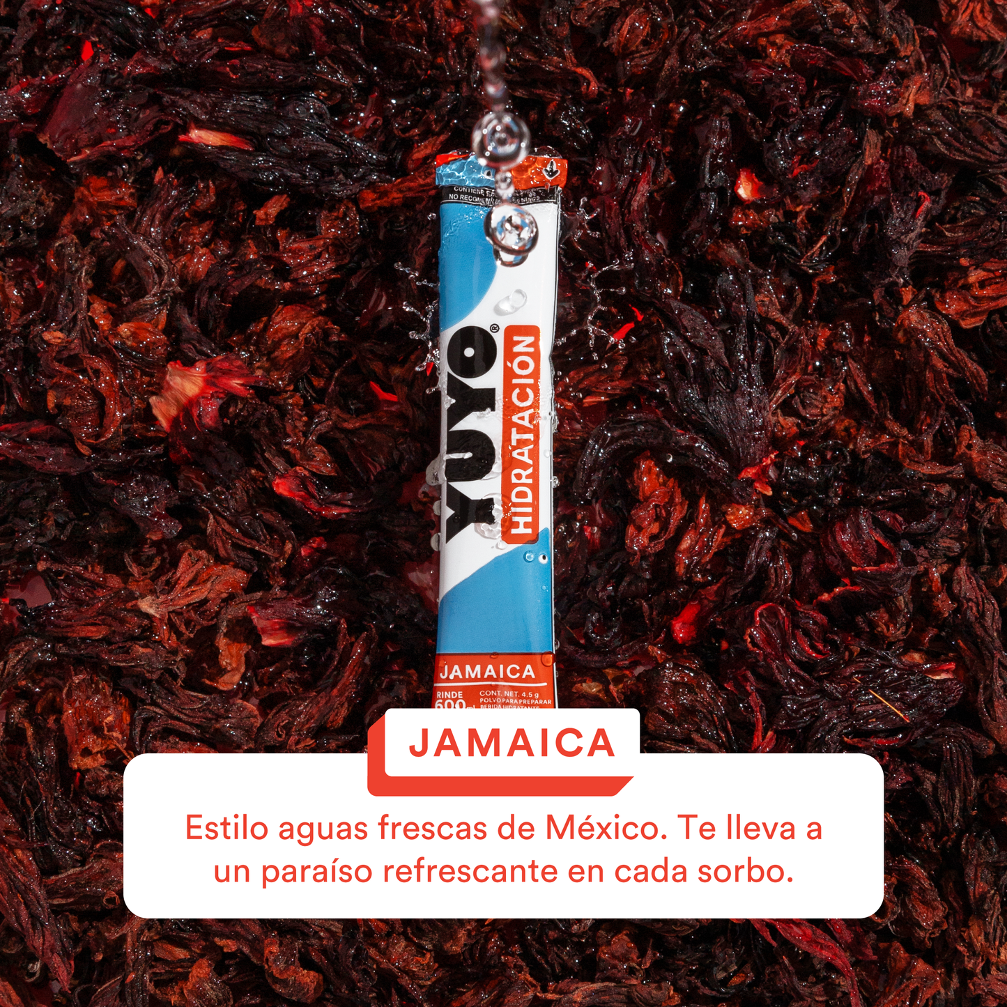 Jamaica Hydration (2 Pack)